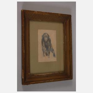 Wilhelm Kuhnert, attr., Junger Affe