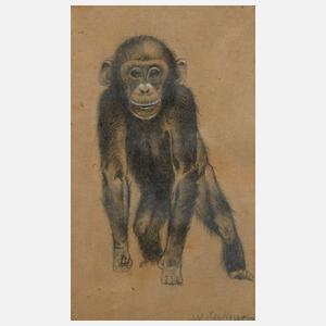 Wilhelm Kuhnert, attr., Junger Affe