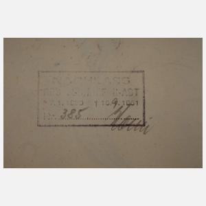 Prof. Albert Schaefer-Ast, Kürbis und Kürbisblüte