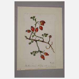 Prof. Albert Schaefer-Ast, "Heckenrosen"