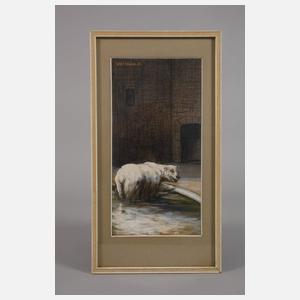 Willy Tiedjen, Paar Eisbärendarstellungen