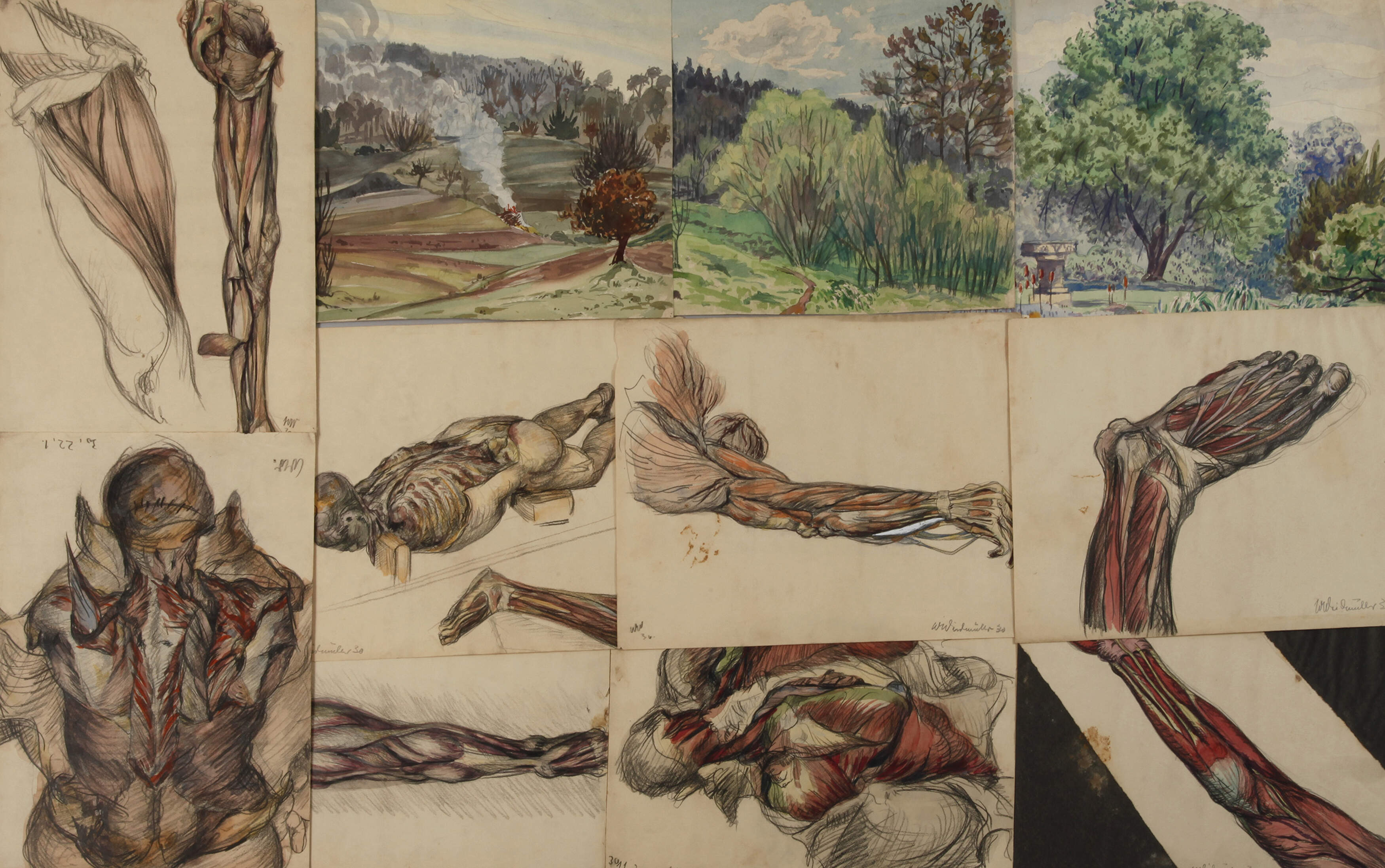 Walther Weidmüller, Konvolut Zeichnungen