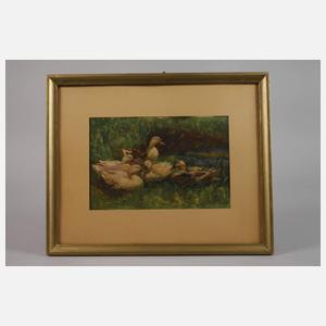 W. Wolf, Enten am Seeufer