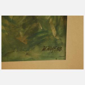 W. Wolf, Enten am Seeufer