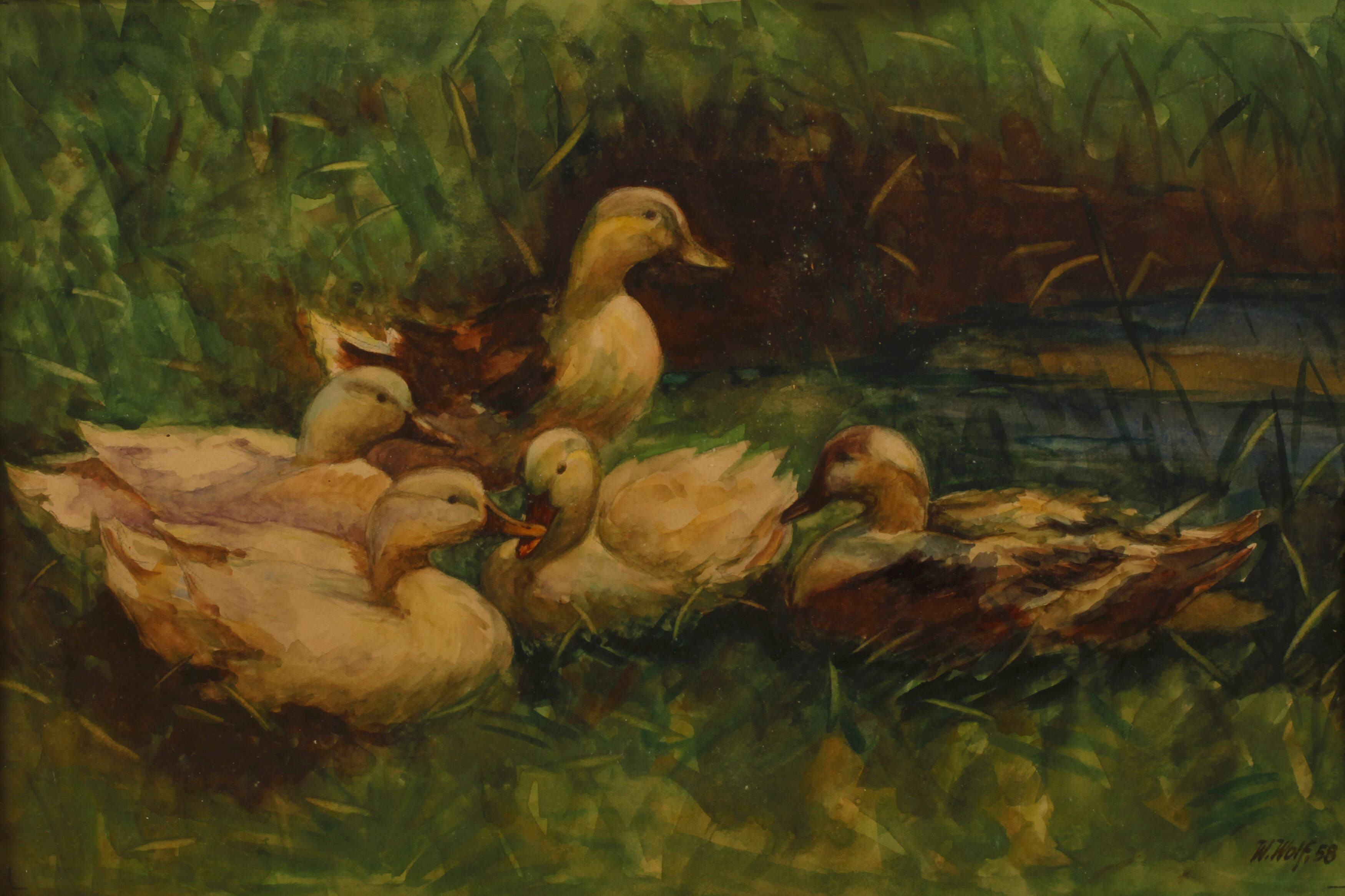 W. Wolf, Enten am Seeufer
