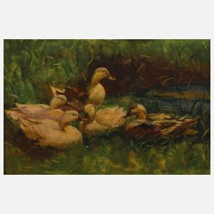 W. Wolf, Enten am Seeufer