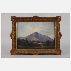 Blick zur Schneekoppe