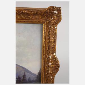 Blick zur Schneekoppe