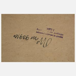 Andrzej Wronsky, Im Gebirge