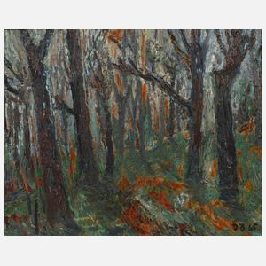 Dieter Beirich, "Waldinneres"