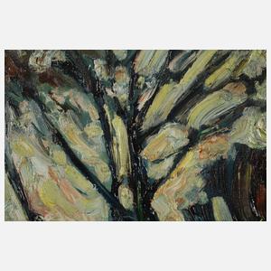 Fredo Bley, Weide im Gegenlicht