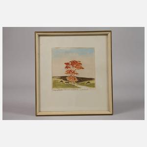 Erich Buchwald-Zinnwald, Straße nach Geising