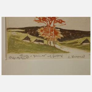 Erich Buchwald-Zinnwald, Straße nach Geising