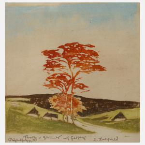 Erich Buchwald-Zinnwald, Straße nach Geising