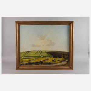 Erich Buchwald-Zinnwald, Bei Zinnwald-Georgenfeld