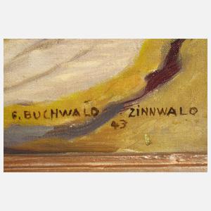 Erich Buchwald-Zinnwald, Bei Zinnwald-Georgenfeld