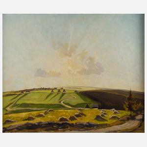 Erich Buchwald-Zinnwald, Bei Zinnwald-Georgenfeld