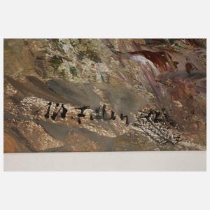 Manfred Feiler, Bulldozer auf der Müllkippe