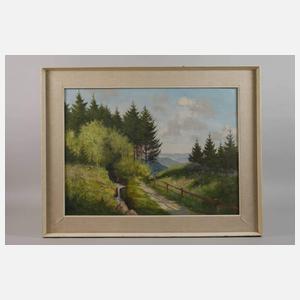 Manfred Feiler, Große Vogtlandlandschaft