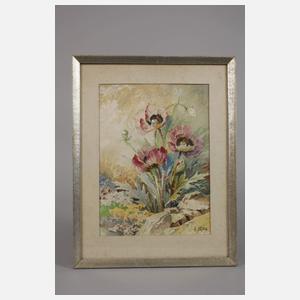 R. Hälßig, Mohnblumen
