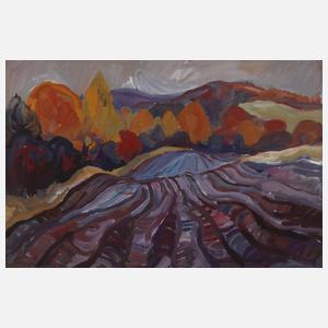 Werner Haselhuhn, "Felder im Herbst"