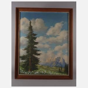 Minni Herzing, Sommerliche Gebirgswiese