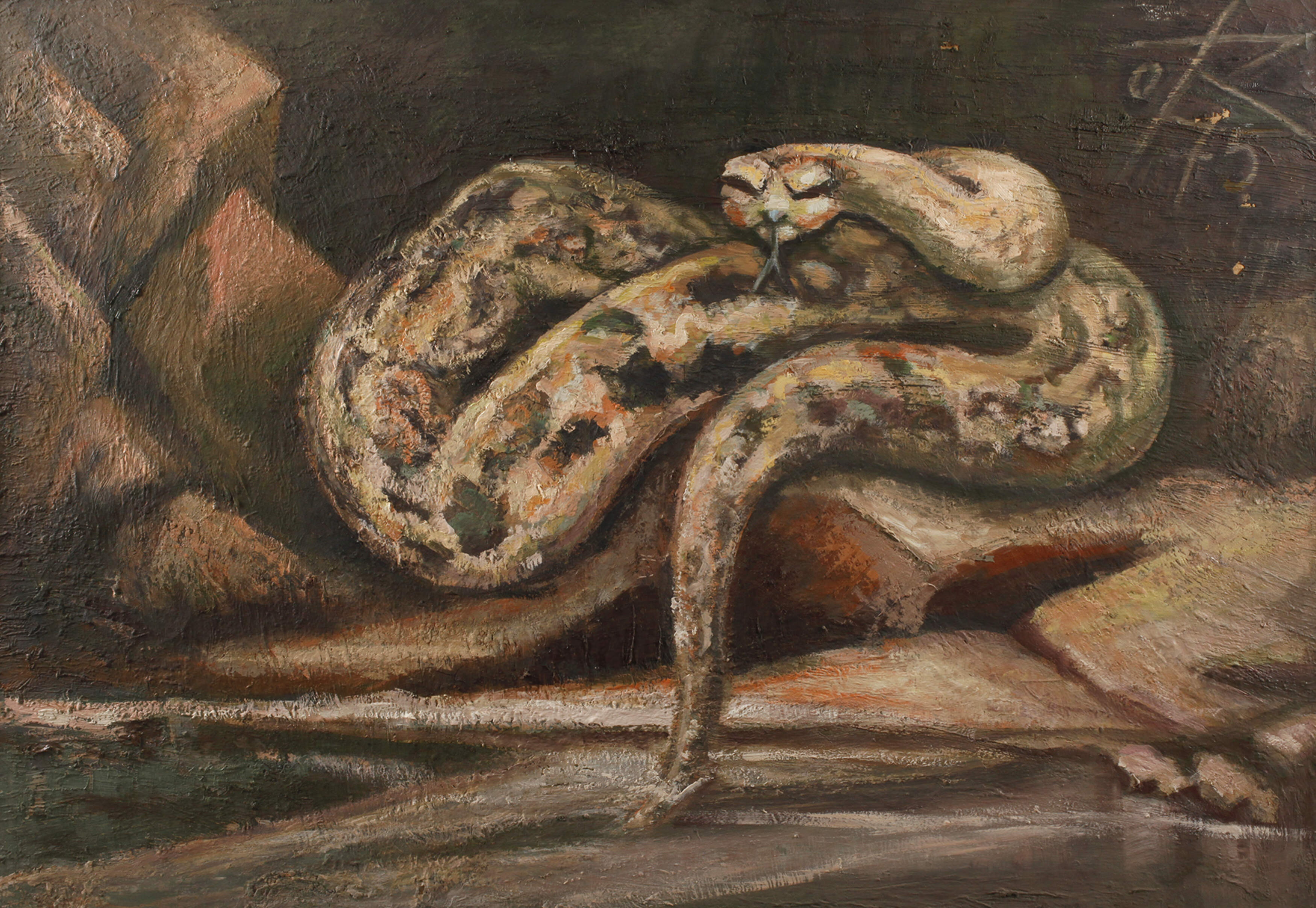 Otto Rudolf Schmidt, "Python"
