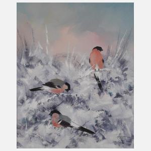 Pär Åkered, Vögel im Winter