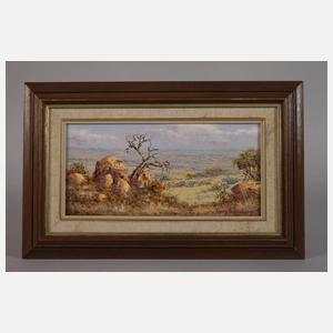 Henry Bredenkamp, Zwei afrikanische Impressionen