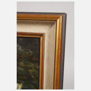 H. Haase, Enten im See