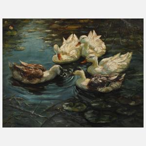 H. Haase, Enten im See