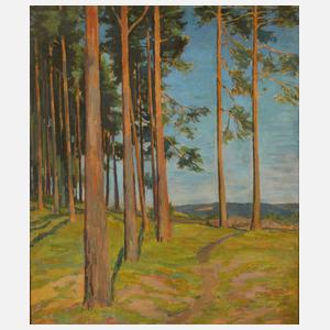 Hermann Gustav Hamann, attr., Im Thüringer Land