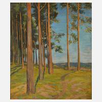 Hermann Gustav Hamann, attr., Im Thüringer Land111