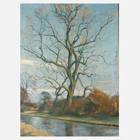 Arthur Viktor Huber, Baum in Vorfrühlingslandschaft111