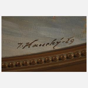 Jiri Kaucký, Blick auf Jindřichův Hradec