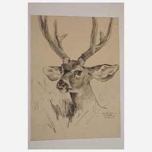 Michael Mathias Kiefer, Federvieh