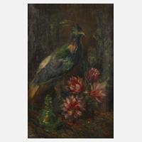 Clara Lins-Morstadt, Stillleben mit exotischem Vogel111
