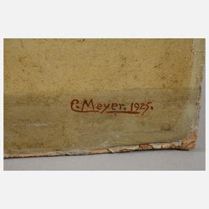 E. Meyer, "Gladiolen und Astern"