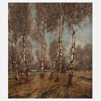 F. Omann, Im Birkenwald111