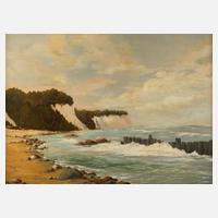 R. Queißer, Kreideküste auf Rügen111