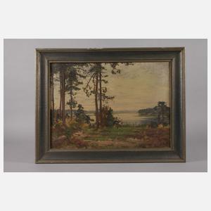 Hans Salzmann, attr., Seelandschaft