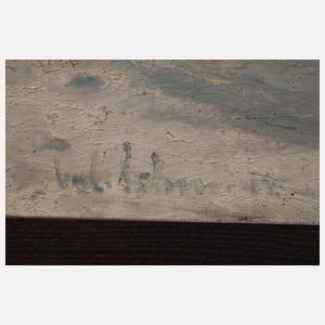 Schmidt, Wildschwein im Winterwald