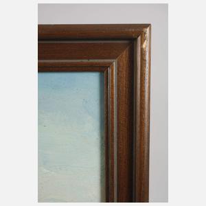 Mercedes Thomaselii Depetromo, Küstenlandschaft