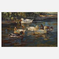 Willy Tiedjen, Am Ententeich111