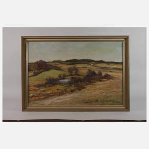 Frank Vervoort, Frühlingslandschaft