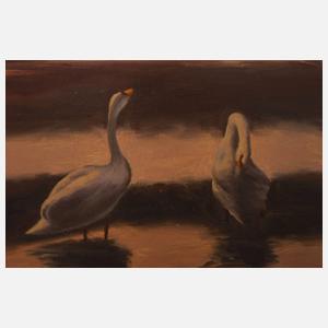 Wilhelm Widell, Schwäne im Abendrot