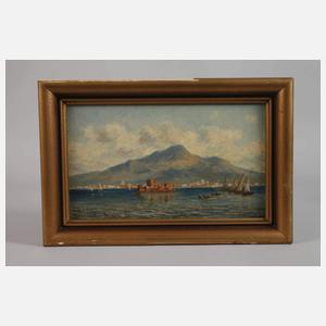 Zakrzowski von Stehlitz, "Blick auf den Vesuv"