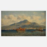 Zakrzowski von Stehlitz, "Blick auf den Vesuv"111