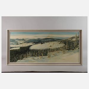 Zelinka, Weite Winterlandschaft