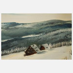 Zelinka, Weite Winterlandschaft